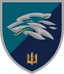 503-й окремий батальйон морської піхоти