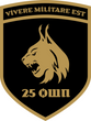 25-й окремий штурмовий полк / 25 ОШП